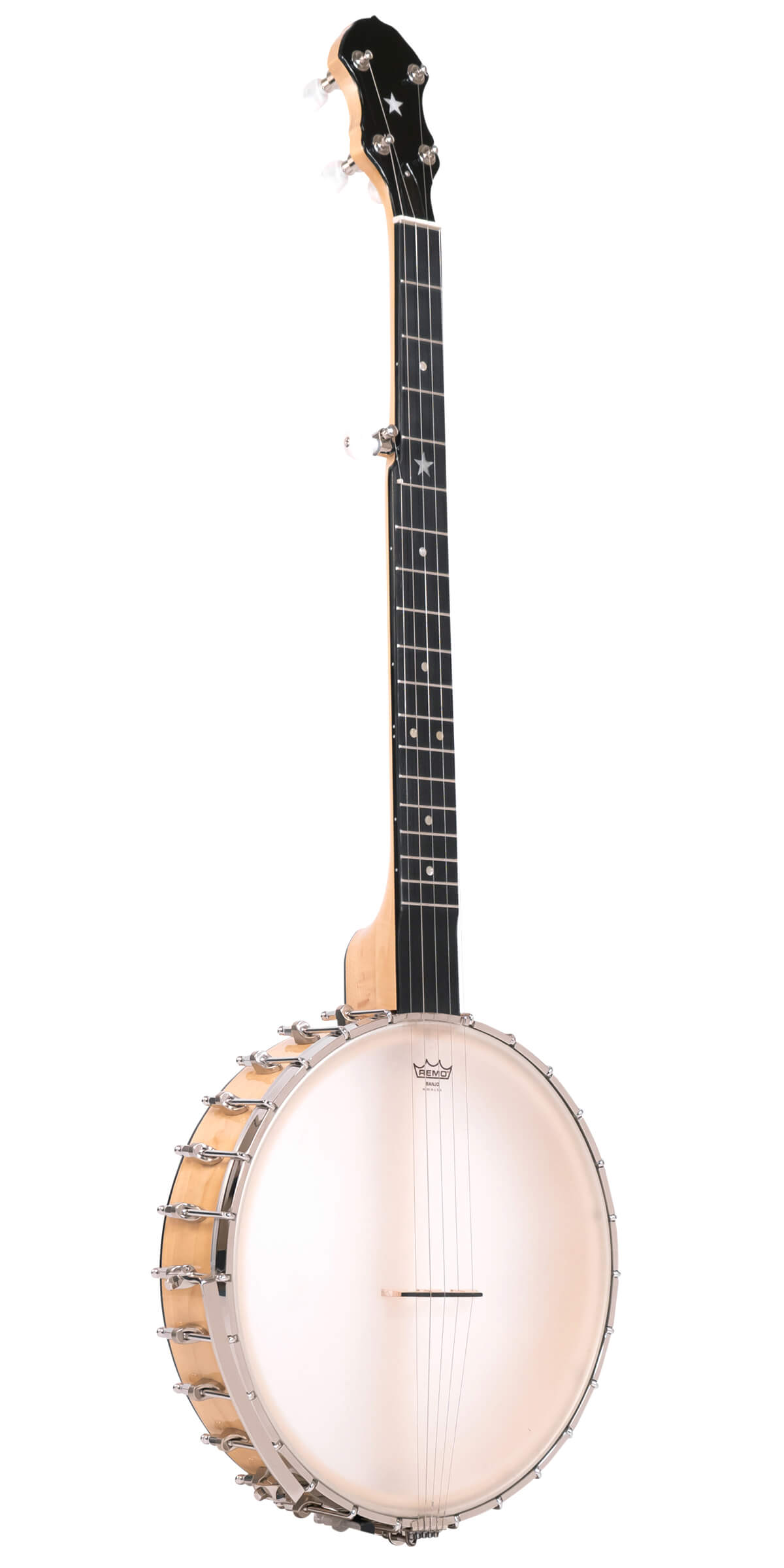 BC-350: Bob Carlin Banjo with Case