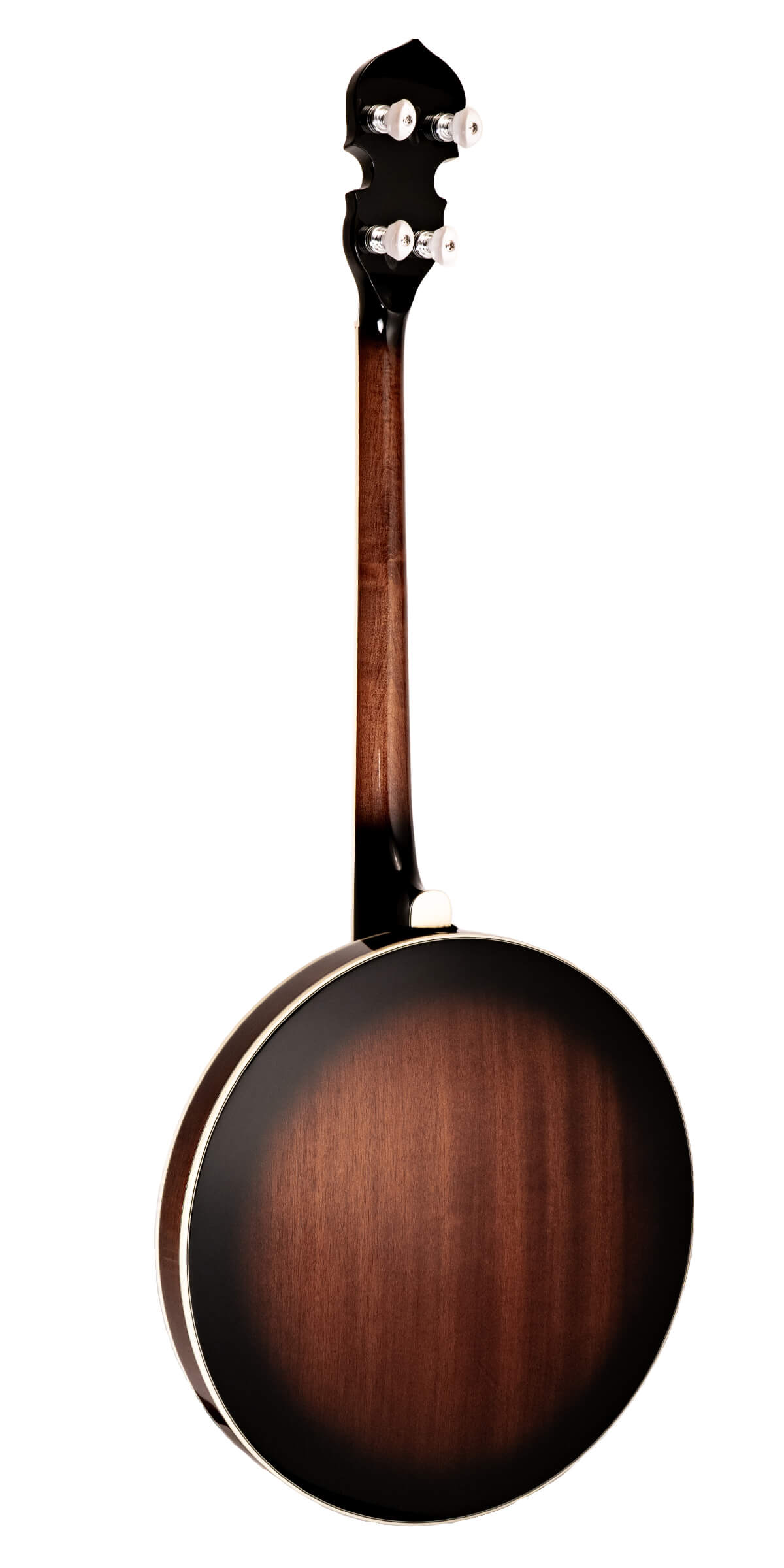 Gold Tone Tenor Special Banjo, TS-250 Banjos Gold Tone   
