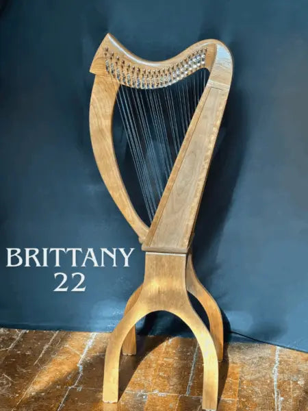 Stoney End Brittany 22 String Harp Package, Walnut 