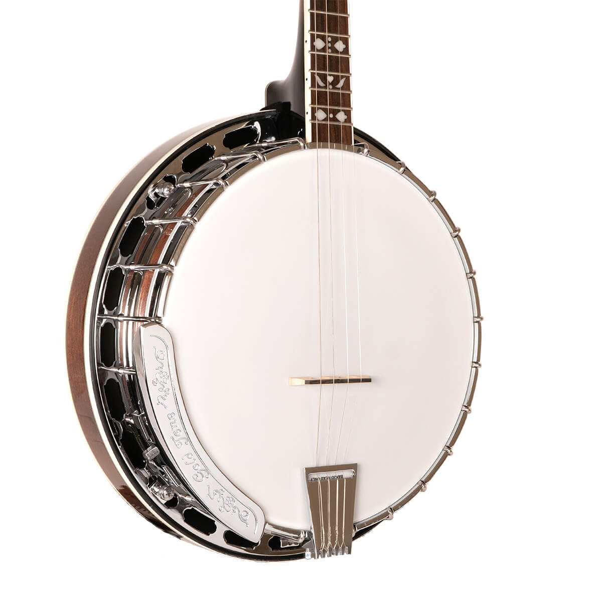 Gold Tone Tenor Special Banjo, TS-250 Banjos Gold Tone   
