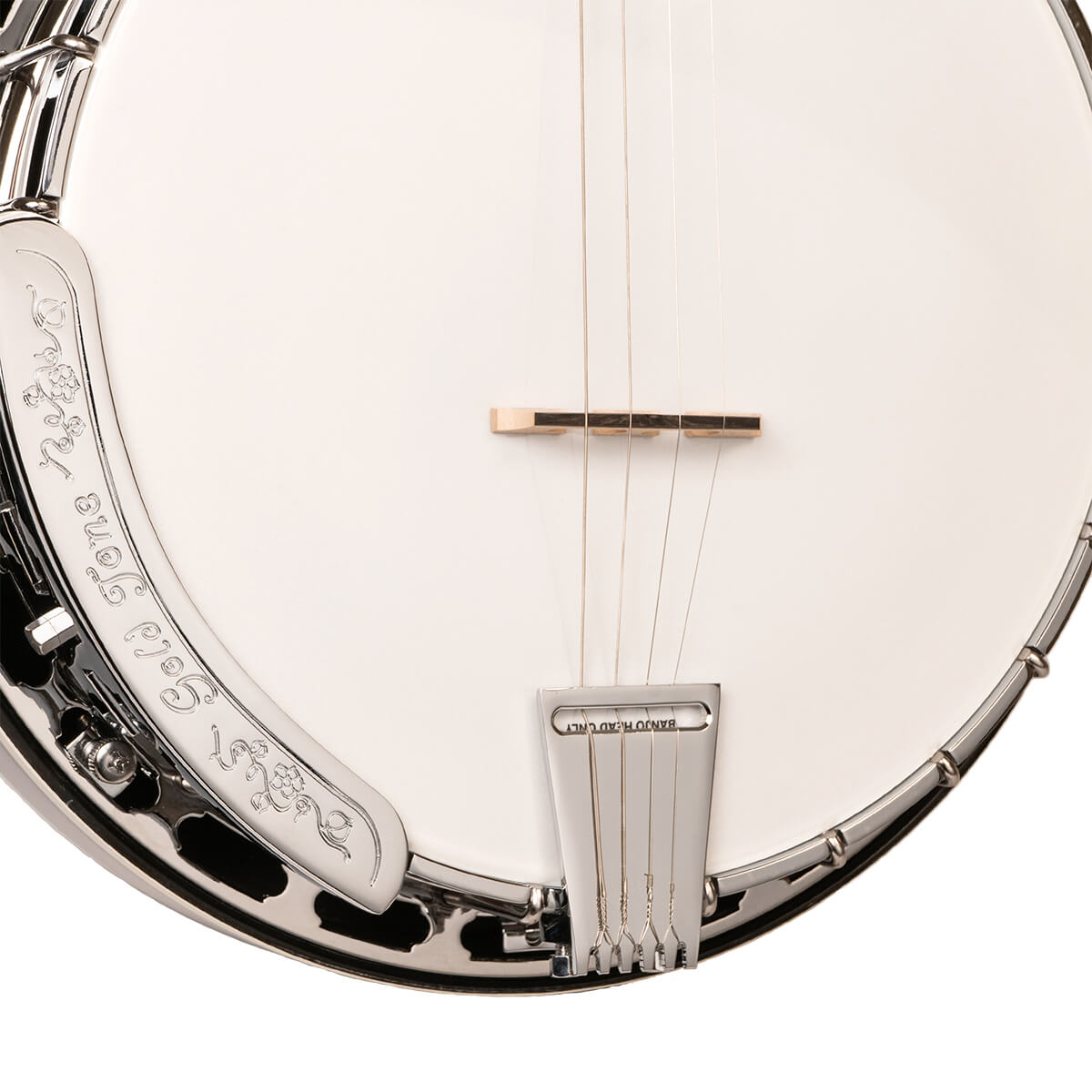 Gold Tone Tenor Special Banjo, TS-250 Banjos Gold Tone   
