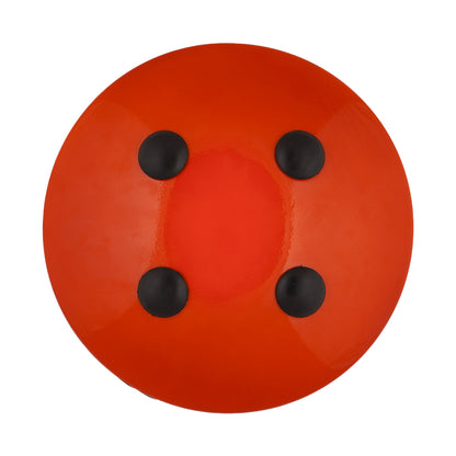Nataraj Tongue Drum, 12 inches, A Minor