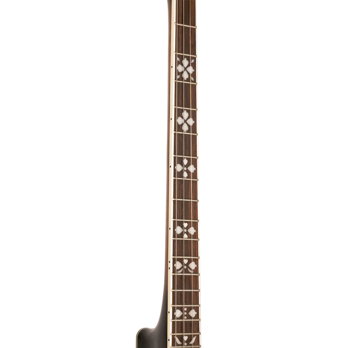 Gold Tone Tenor Special Banjo, TS-250 Banjos Gold Tone   