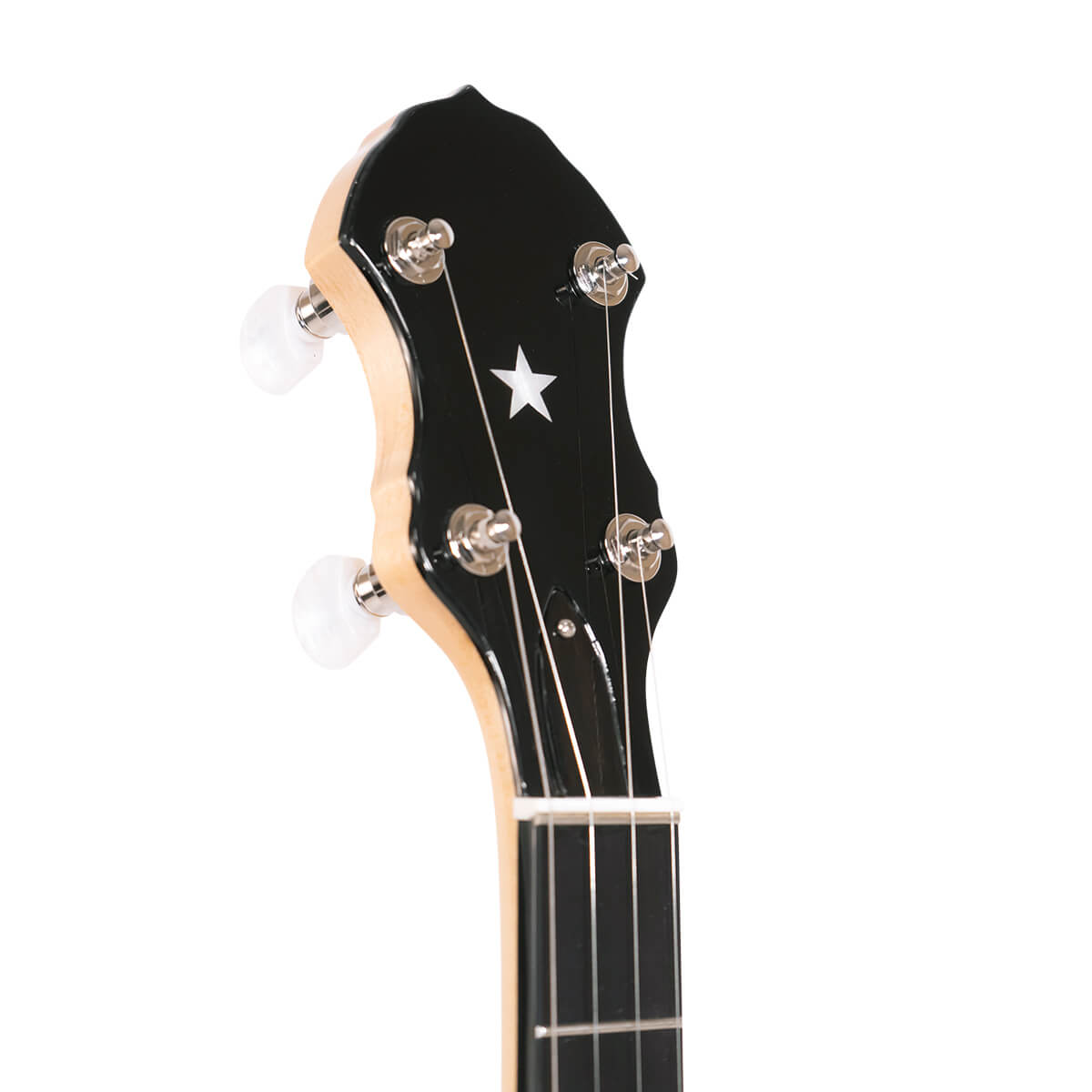 BC-350: Bob Carlin Banjo with Case