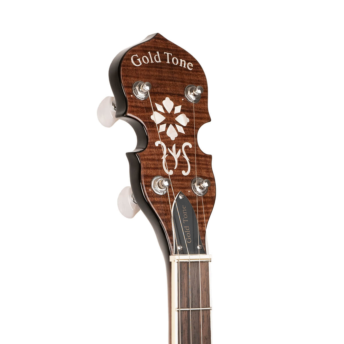 Gold Tone Tenor Special Banjo, TS-250 Banjos Gold Tone   