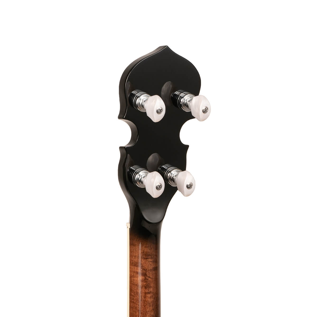 Gold Tone Tenor Special Banjo, TS-250 Banjos Gold Tone   