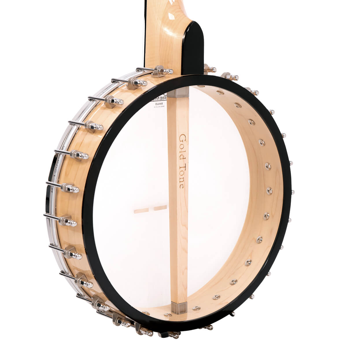 BC-350: Bob Carlin Banjo with Case