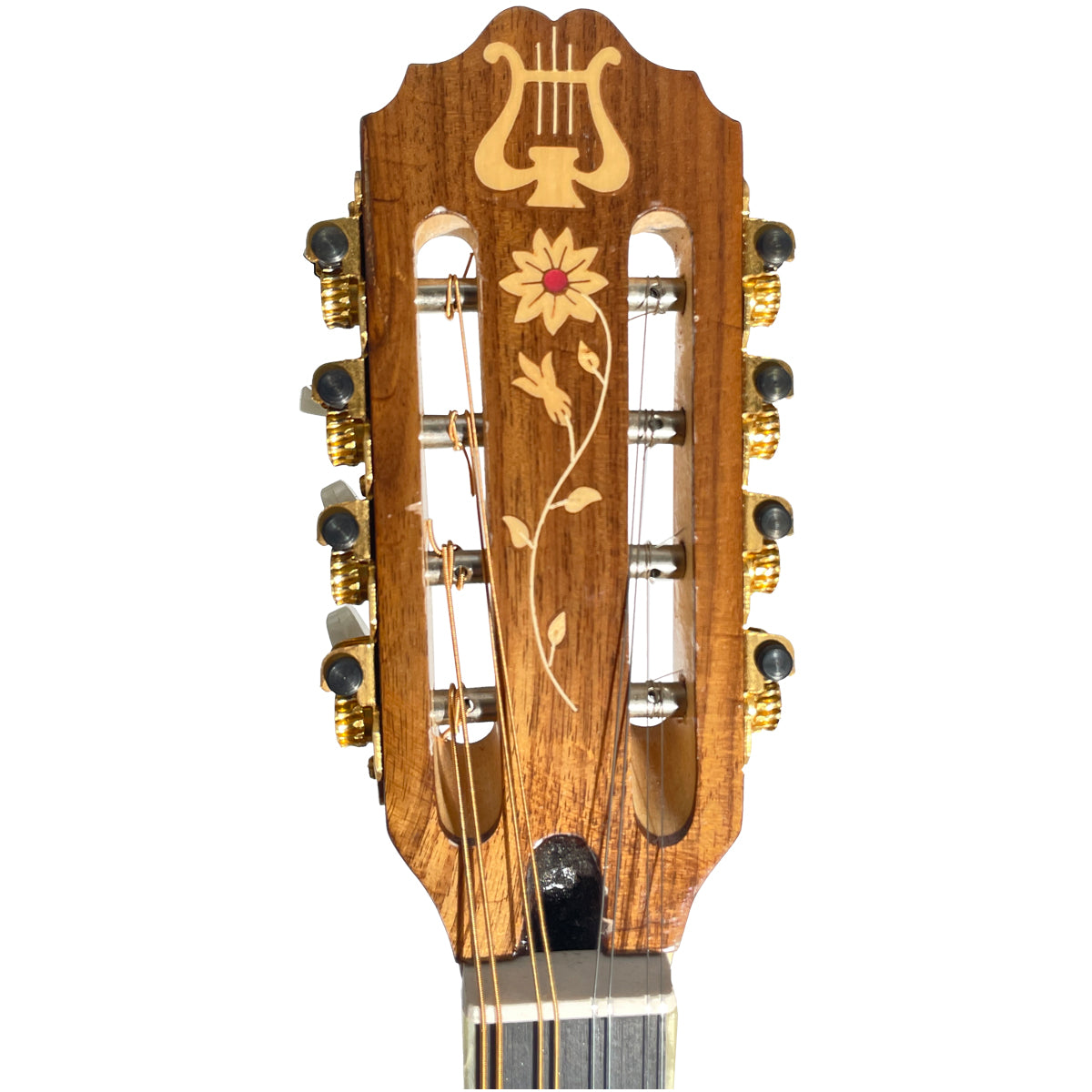 Sakis 8 String Bouzouki, 60 Stave Model Bouzoukis Lark in the Morning   