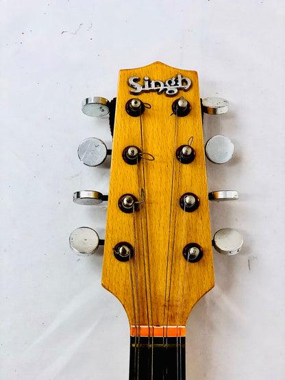 Singh Electric Mandola, Used