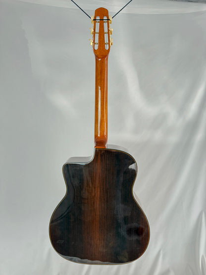 Gitane Gypsy Jazz Guitar: D-500 D Hole (Blemished)