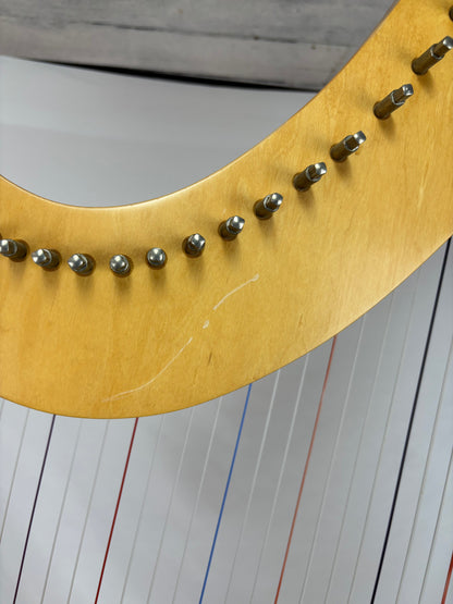 Lyon & Healy Troubadour IV Harp,  Pre-owned 