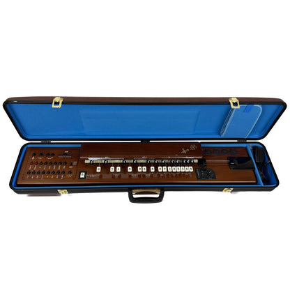 スズキ 電気大正琴 TES-101 ミント