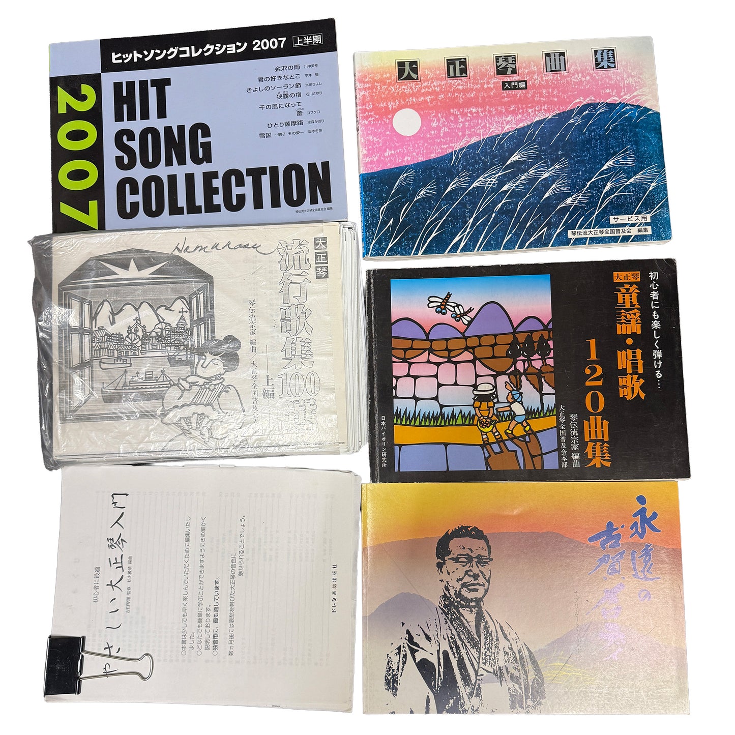 スズキ 電気大正琴 TES-101 ミント