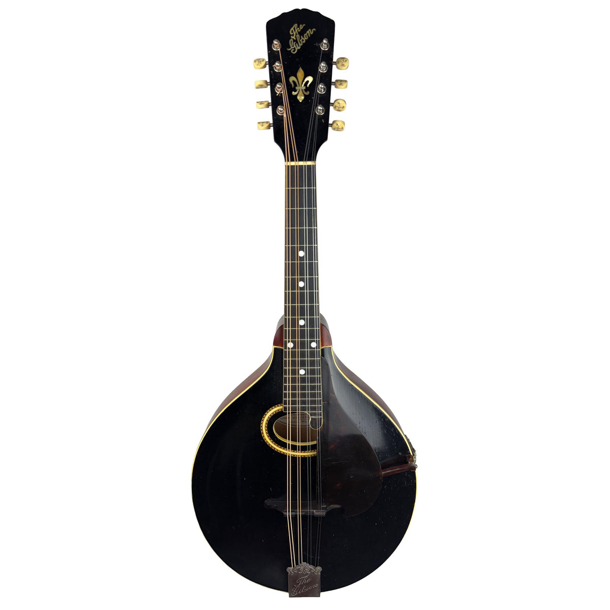 Gibson H2 Mandola, c. 1913 