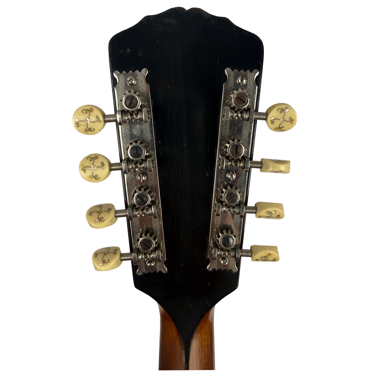Gibson H2 Mandola, c. 1913 
