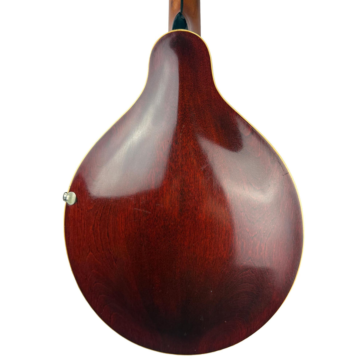 Gibson H2 Mandola, c. 1913 