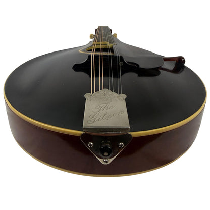 Gibson H2 Mandola, c. 1913 