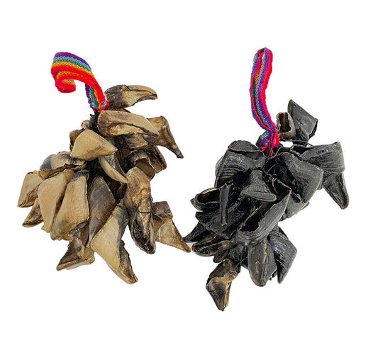 Goat Toenail Shaker Shakers, Maracas & Rattles Lark in the Morning   
