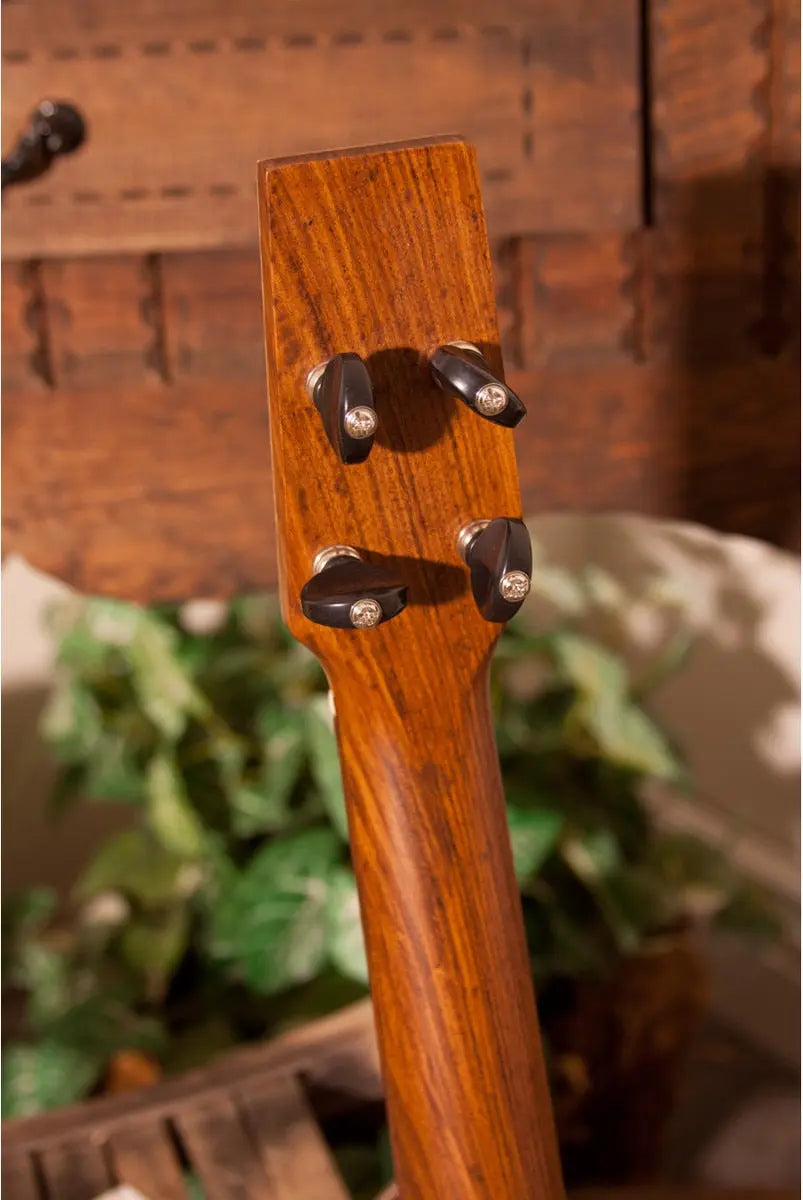 Roosebeck Baroq-ulele, Baritone 