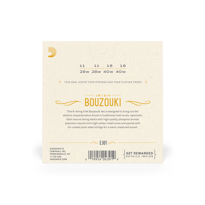 D'Addario Irish Bouzouki Strings EJ81 