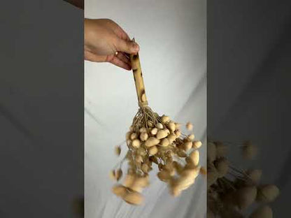 Kenari Nut Shaker, Bamboo Handle (Large)
