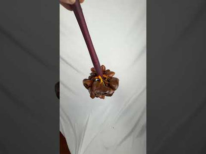 Ekpiri Seed Rattle - Wood Handle