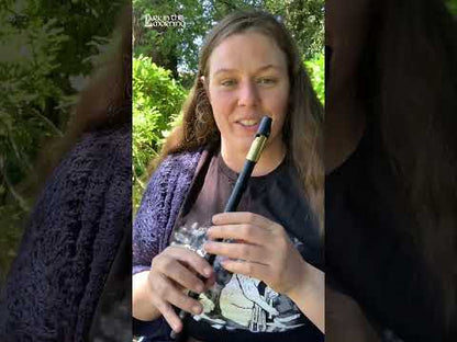 Lark in the Morning Pennywhistle, Nickel Body, Brass Head, C