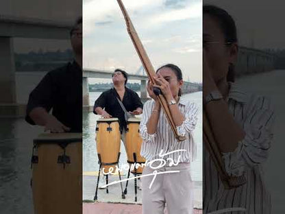 バッグ付きカエン