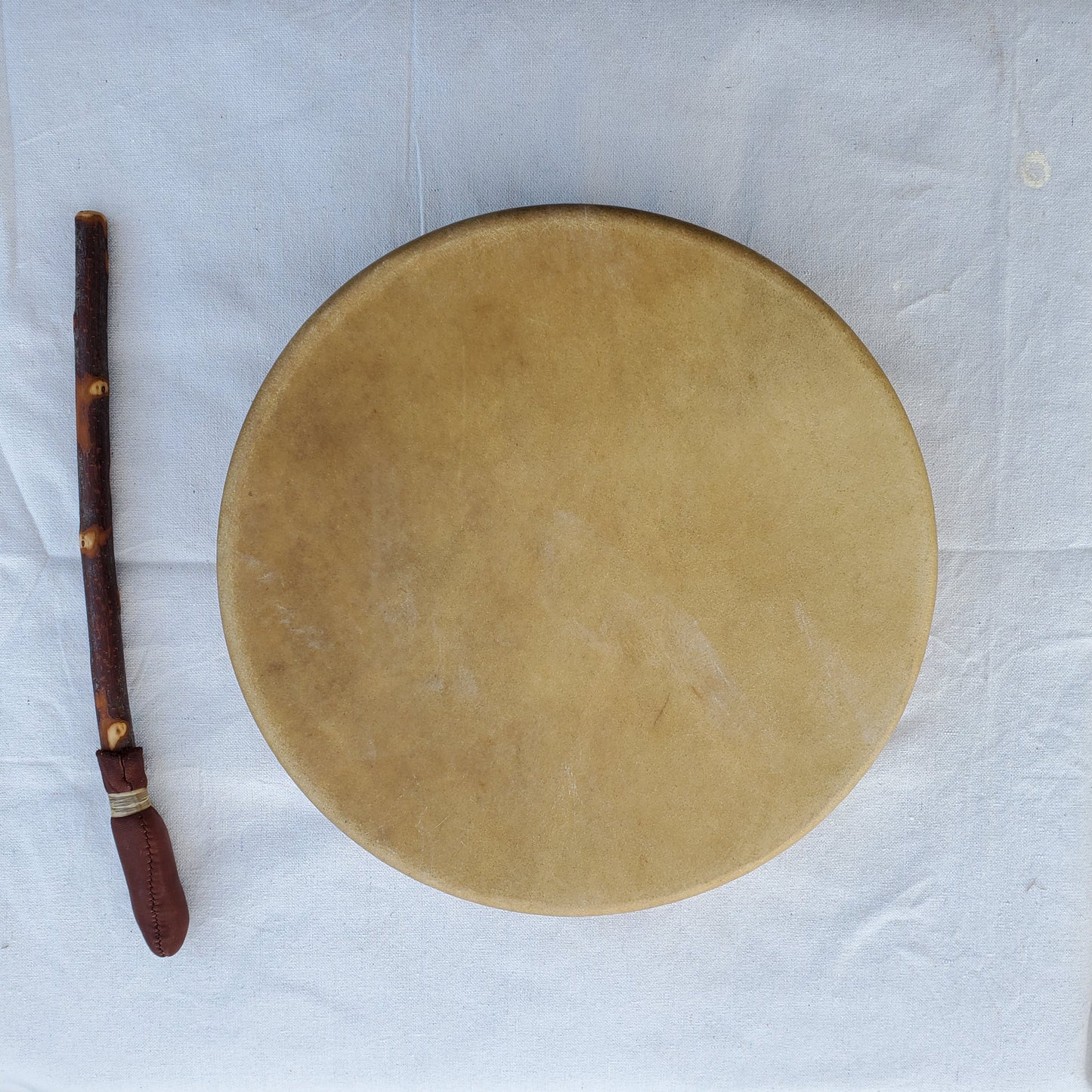 Elk Rawhide Hand Drum, 14-inch, with Beater, by Nash Tavewa Native American Drums Nash Tavewa   
