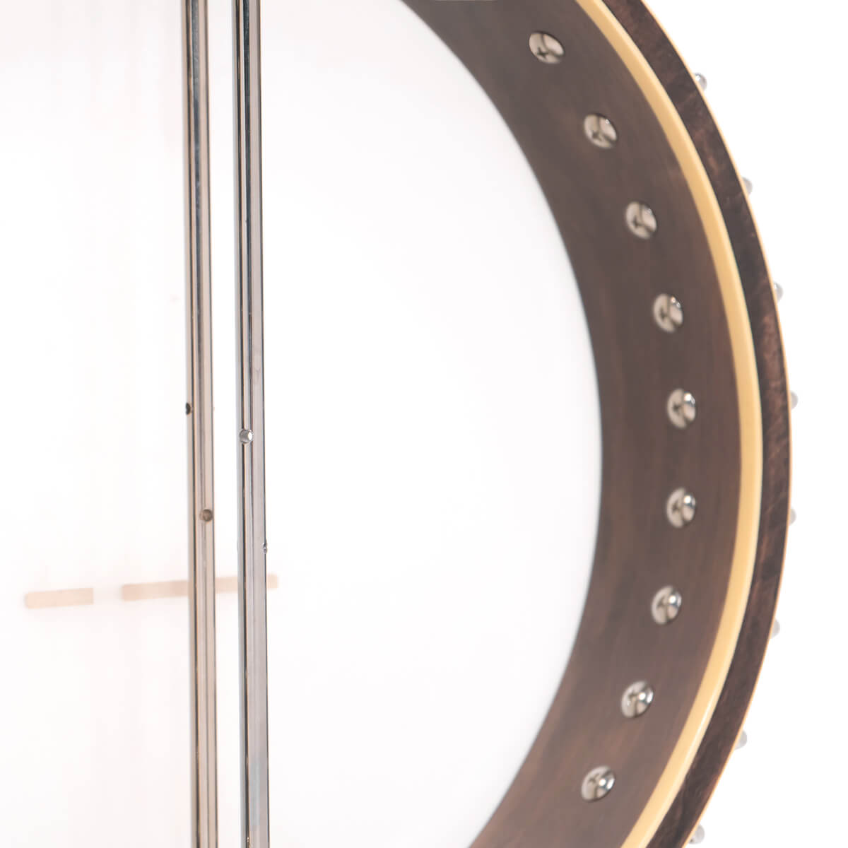 Gold Tone 5-String Cello Banjo Banjos Gold Tone   
