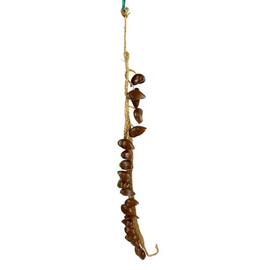 Ekpiri Seed Belt Shaker Shakers, Maracas & Rattles Lark in the Morning   
