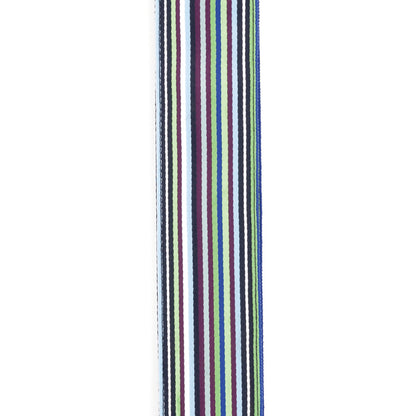 D'Addario NYLON WOVEN GUITAR STRAP Blue Latin Line Art Guitar Straps D'Addario   