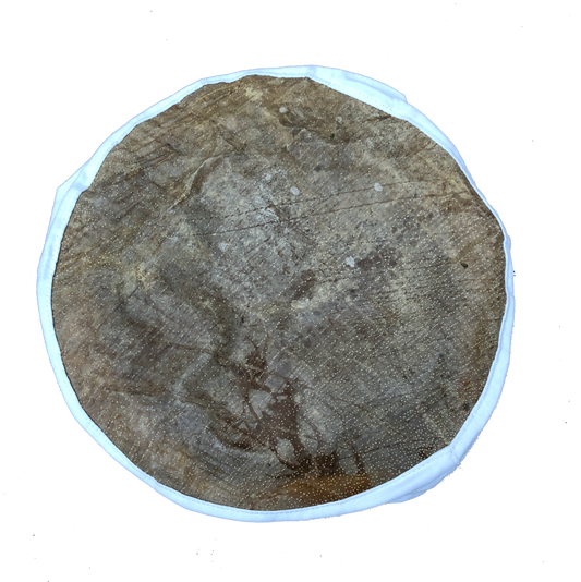 Fish Skin Drum Head, 10” Drum Skins Lark in the Morning
